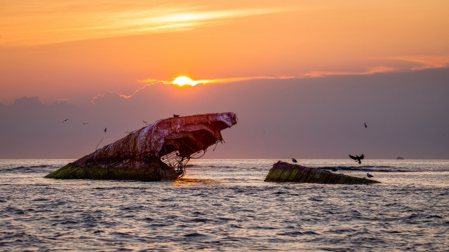 Sunset boat island birds ocean free wallpaper - medium preview image