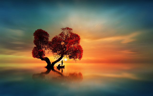 Tree man sunset mystical colors free wallpaper - medium preview image