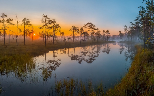 River trees foggy sunset autumn free wallpaper - medium preview image