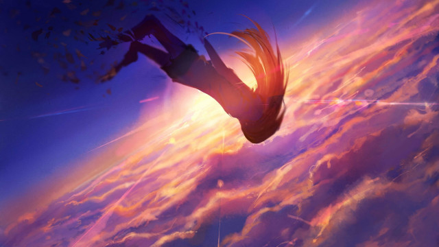 Bird sky clouds sunset cityscape free wallpaper - medium preview image