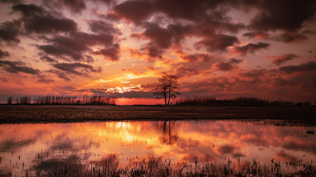 Sunset clouds reflection trees distant free wallpaper - medium preview image