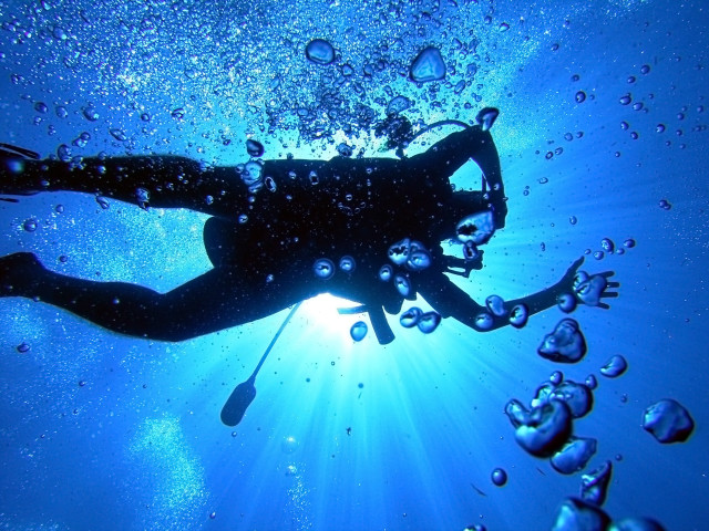Swimming bubbles sunbeam blue sky free wallpaper - medium preview image