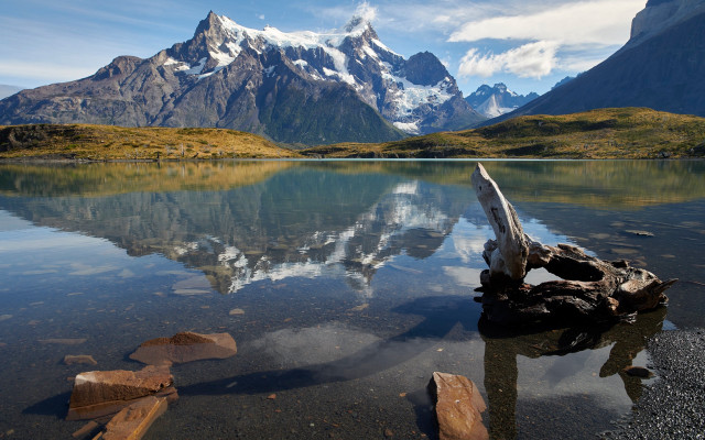 Mountain reflection lake fallen tree free wallpaper - medium preview image