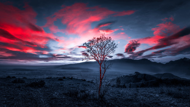 Lone tree mountain horizon mystical free wallpaper - medium preview image