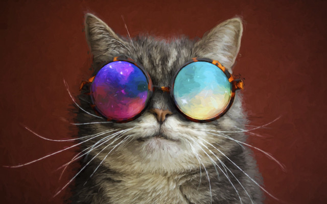 Cat sunglasses psychedelic reflection red free wallpaper - medium preview image