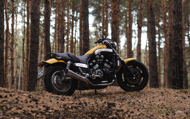 Motorcycle forest panfuturism tiltshift blurry free wallpaper - medium preview image