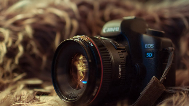 Camera lens furry surface macro free wallpaper - medium preview image