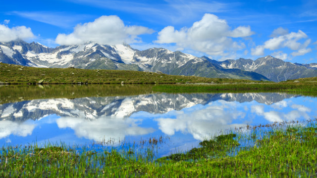 Mountain lake reflection grass flowers free wallpaper - medium preview image