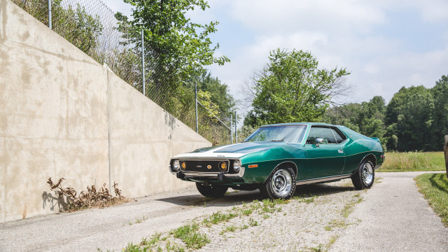 Green car cow nature road free wallpaper - medium preview image