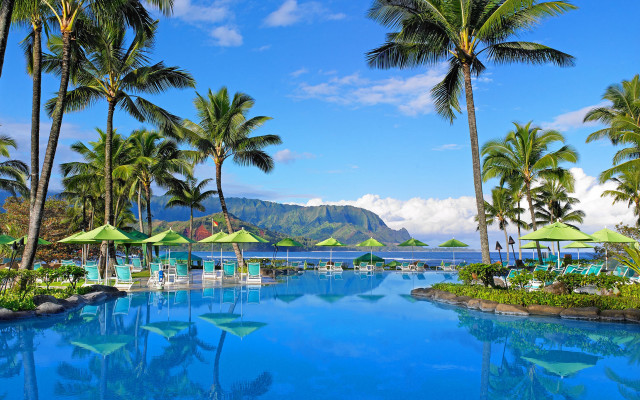 Large pool palm trees beach free wallpaper - medium preview image