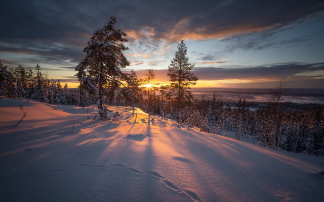 Sunset snowy mountain trees trail free wallpaper - medium preview image