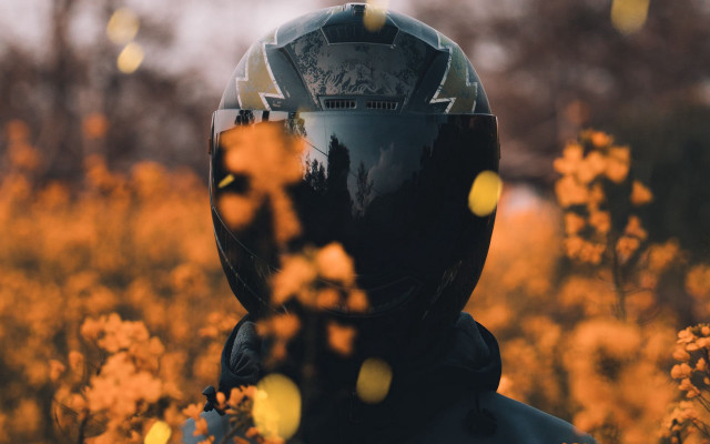 Helmet flower field autumn blurry free wallpaper - medium preview image