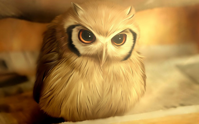 Bird big eyes blurry background free wallpaper - medium preview image