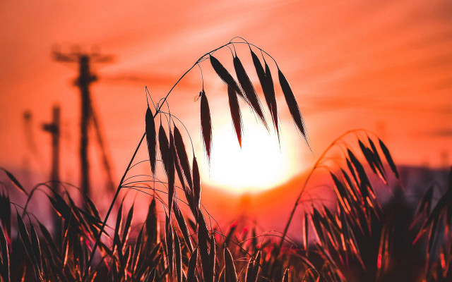 Sunset cross grass ceremony bernd free wallpaper for desktop - medium preview image