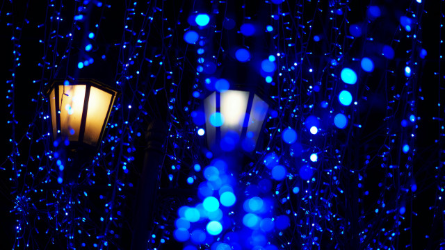 Streetlight blue lights tree glow free wallpaper - medium preview image