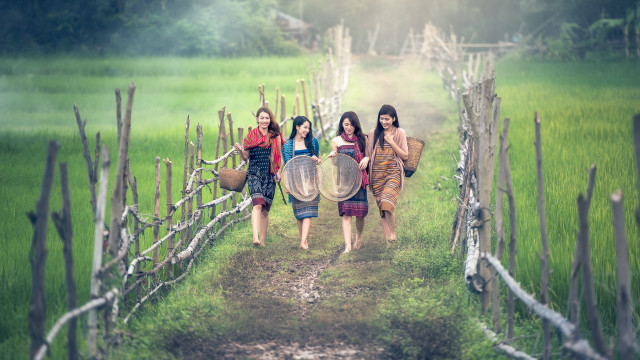 Three women basket water forest free wallpaper - medium preview image