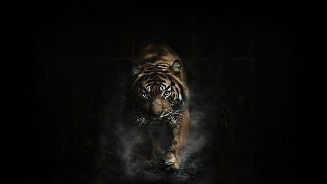 Tiger smoke darkroom digitalpainting monster free wallpaper - medium preview image