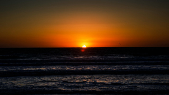 Sunset ocean bird boat mountain free wallpaper - medium preview image