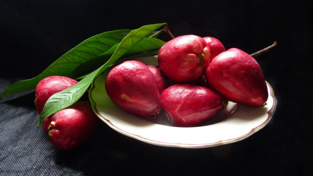 Red apples white plate green free wallpaper - medium preview image
