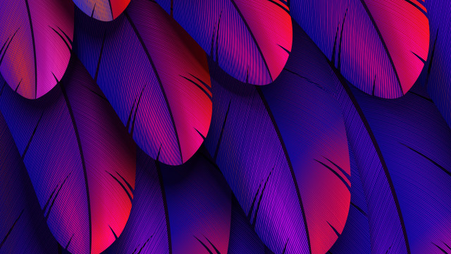 Purple red feathers red circle free wallpaper - medium preview image