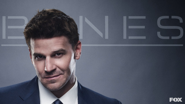 Man smiling suit tie bones free wallpaper - medium preview image