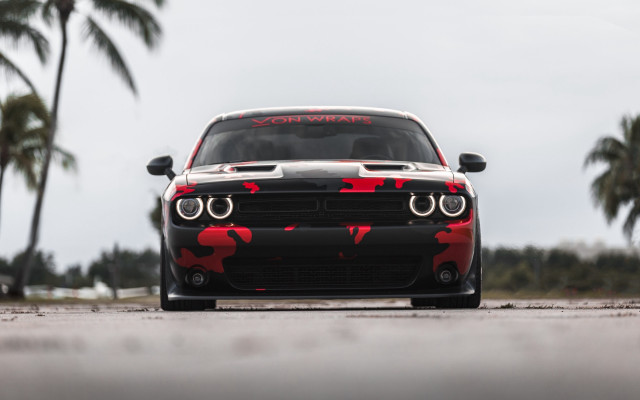 Red camo car palm trees free wallpaper - medium preview image