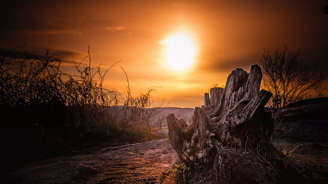Wooden bench sunset clouds tree free wallpaper - medium preview image