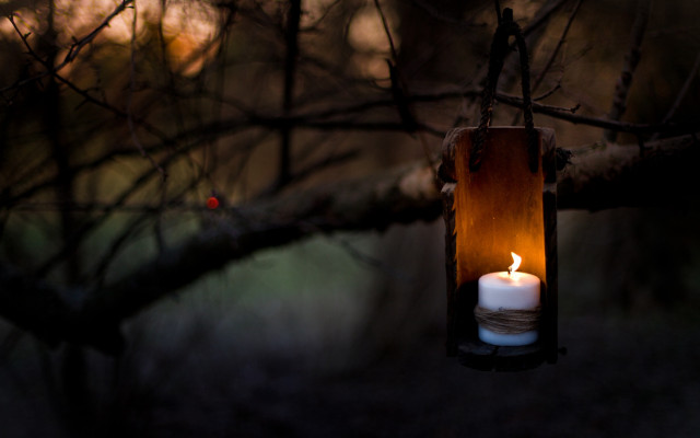 Lit candle hanging lantern forest free wallpaper - medium preview image