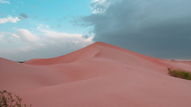 Large sand dune bush cloudy free wallpaper - medium preview image