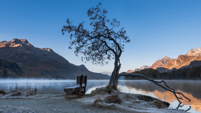 Lone tree island lake mountains free wallpaper - medium preview image