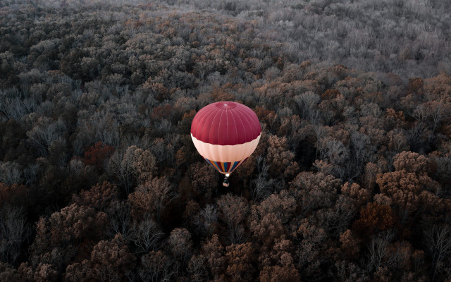 Red white balloon autumn forest free wallpaper - medium preview image