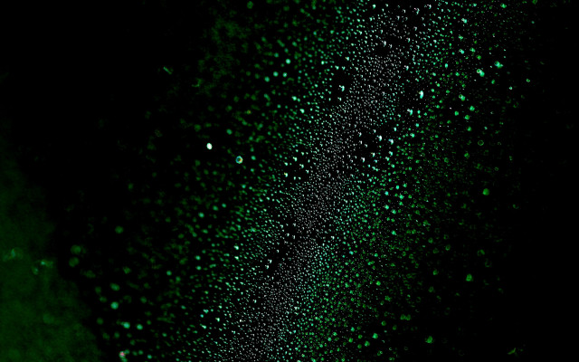 Green water drops macro starry free wallpaper - medium preview image