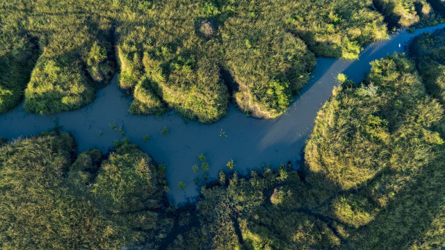 River forest sunny aerial autumn free wallpaper - medium preview image