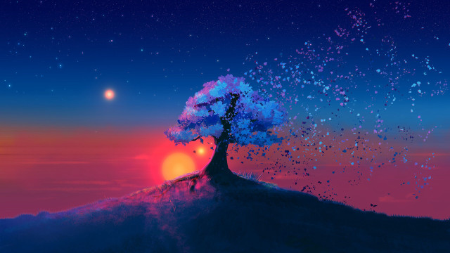 Tree hill sunset stars aurora free wallpaper - medium preview image