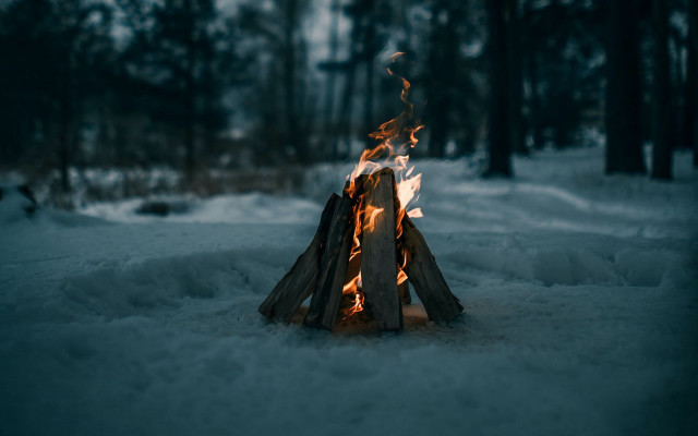 Fire snow trees winter minimalism free wallpaper - medium preview image
