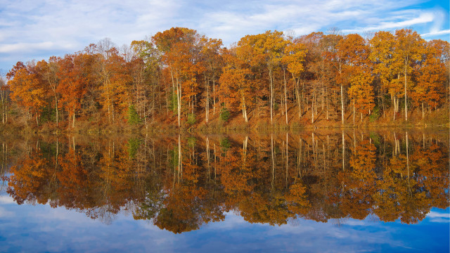 Autumn lake reflections forest sky free wallpaper - medium preview image