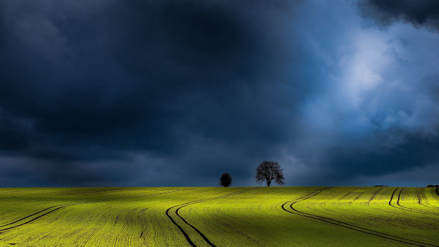 Stormy field tree clouds horizon free wallpaper - medium preview image