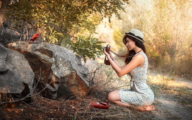Woman bird camera forest autumn free wallpaper - medium preview image