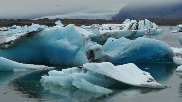 Iceberg lake mountains bird ecological free wallpaper - medium preview image