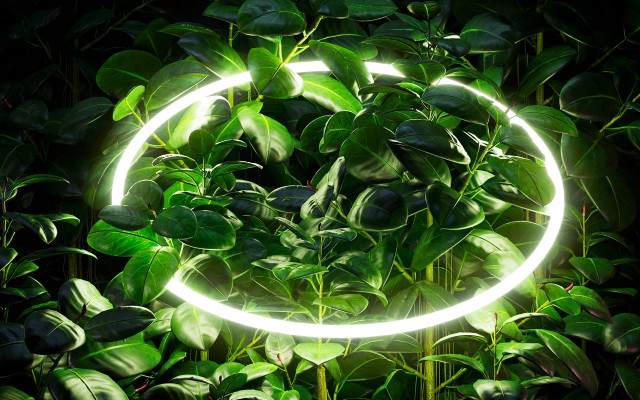 Light circle green leaves night free wallpaper - medium preview image