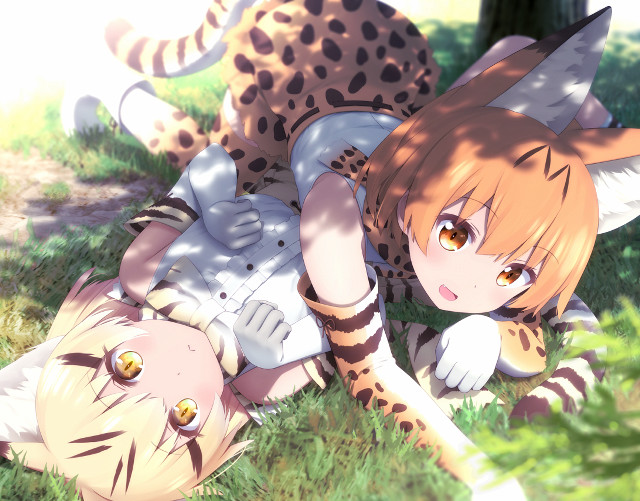 Girl cheetah laying grass field free wallpaper - medium preview image