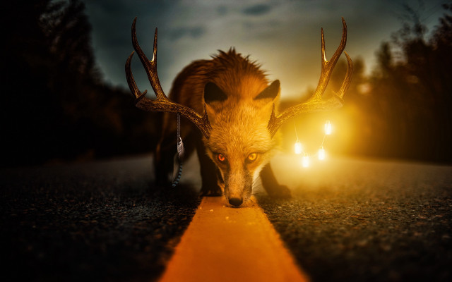 Deer antlers night road car free wallpaper - medium preview image