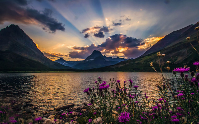 Sunset mountain lake wildflowers sky free wallpaper - medium preview image