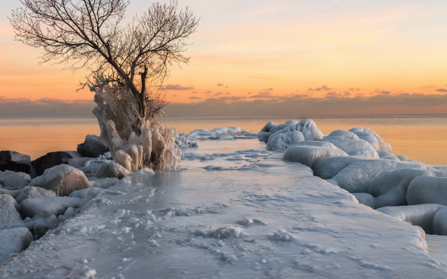 Frozen shoreline sunset tree mountains free wallpaper - medium preview image
