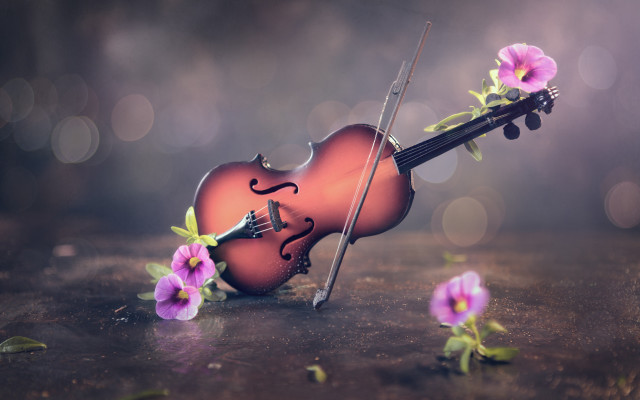 Violin bow flower table bokeh #2 free wallpaper - medium preview image