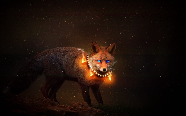 Glowing fox blue eyes dark free wallpaper - medium preview image