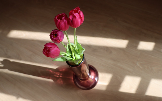 Vase flowers table shadow outdoors free wallpaper - medium preview image