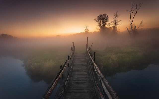 Wooden bridge sunset fog trees free wallpaper - medium preview image