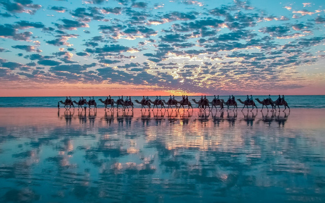 Horse riding water sunset beach free wallpaper - medium preview image