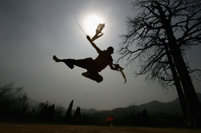 Man kite air tree sun free wallpaper - medium preview image